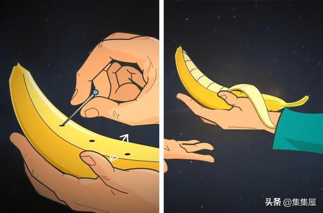 (圖5)