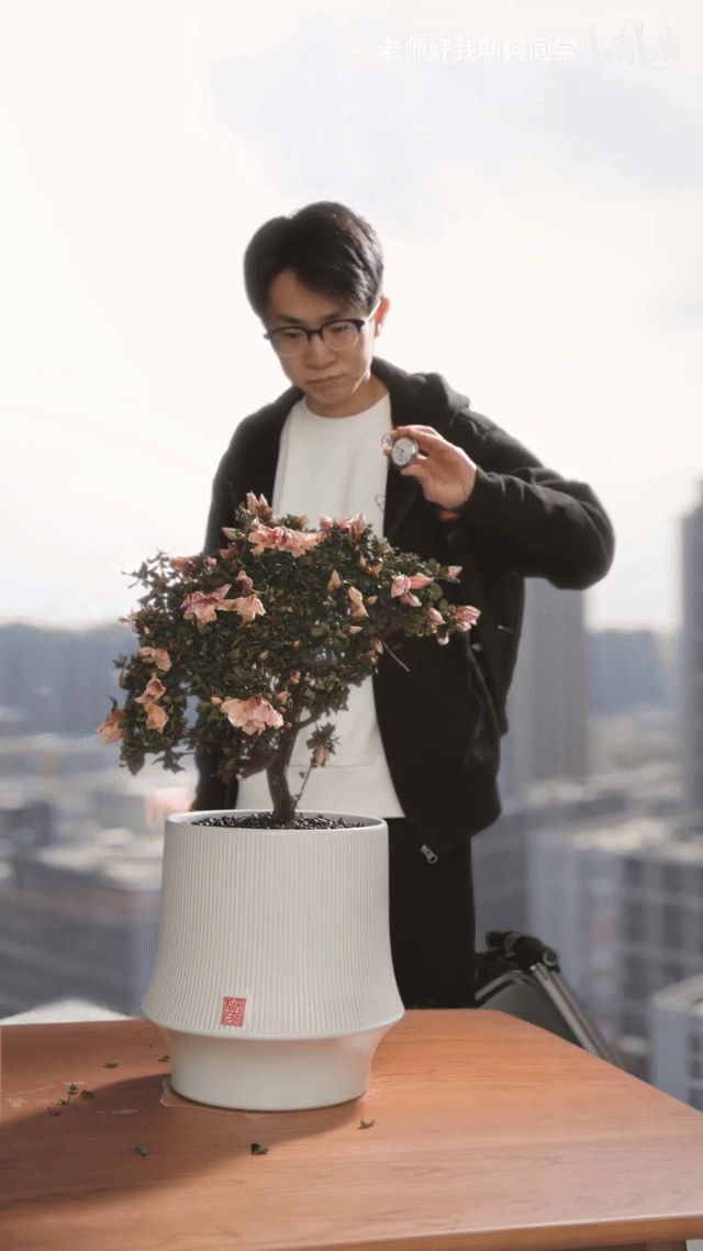 千萬(wàn)粉絲何同學(xué)、日本網(wǎng)紅米飯仙人都推薦的電飯煲到底有什么魔法？