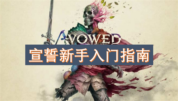 宣誓新手入門指南