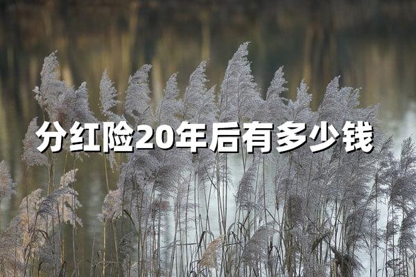 分紅險(xiǎn)20年后有多少錢？真實(shí)案例拆解+避坑指南