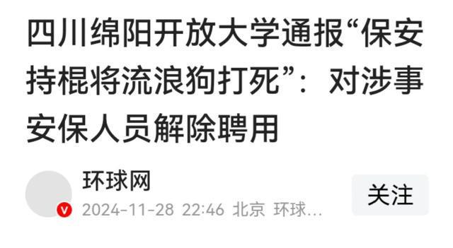 (圖9)
