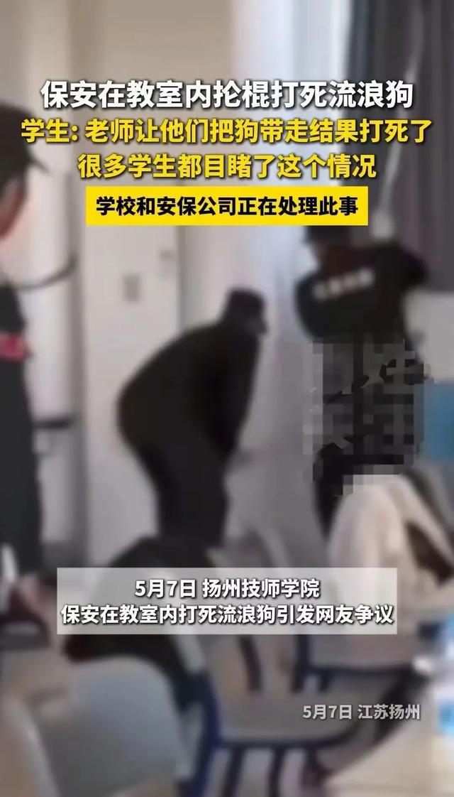 (圖8)