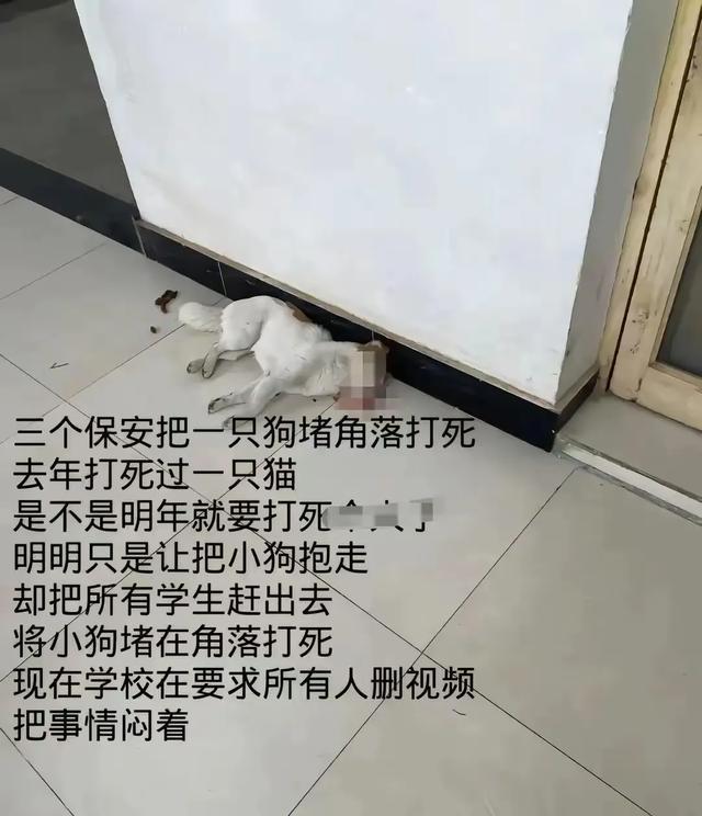 (圖7)