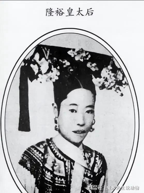 (圖4)