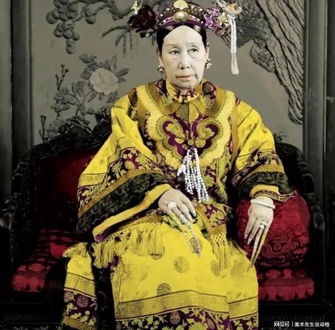 清朝攝政王載灃為什么丟掉政權(quán)