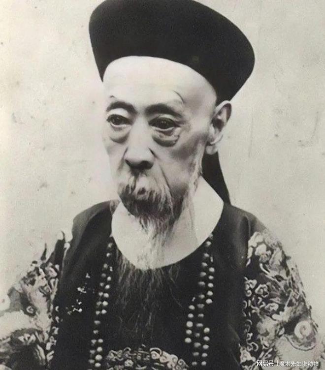 (圖6)
