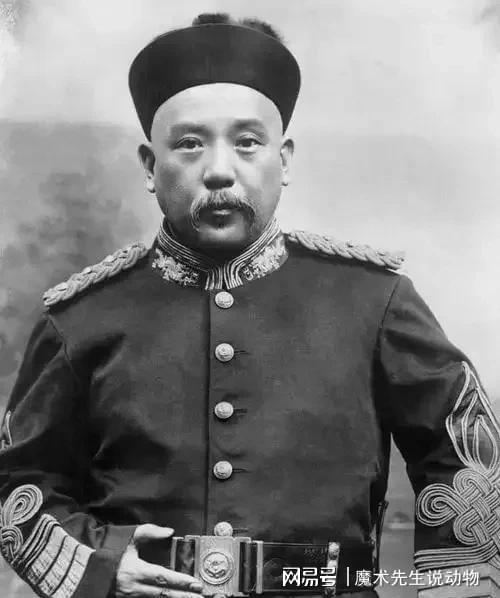 (圖9)