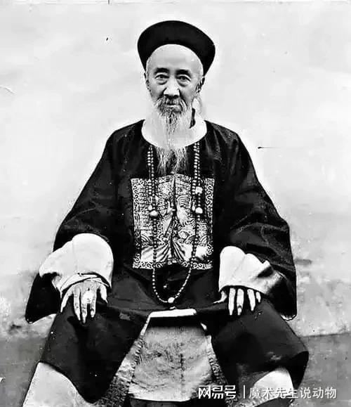 (圖10)