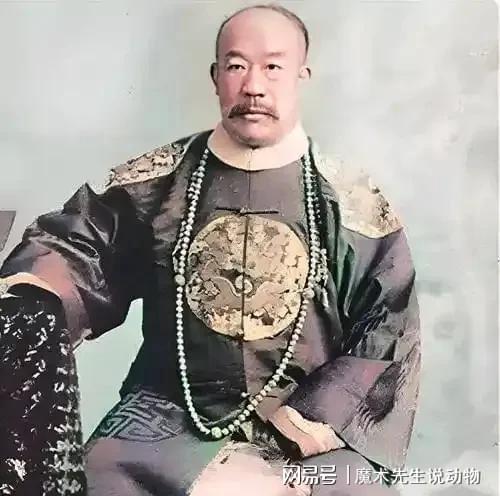 (圖8)