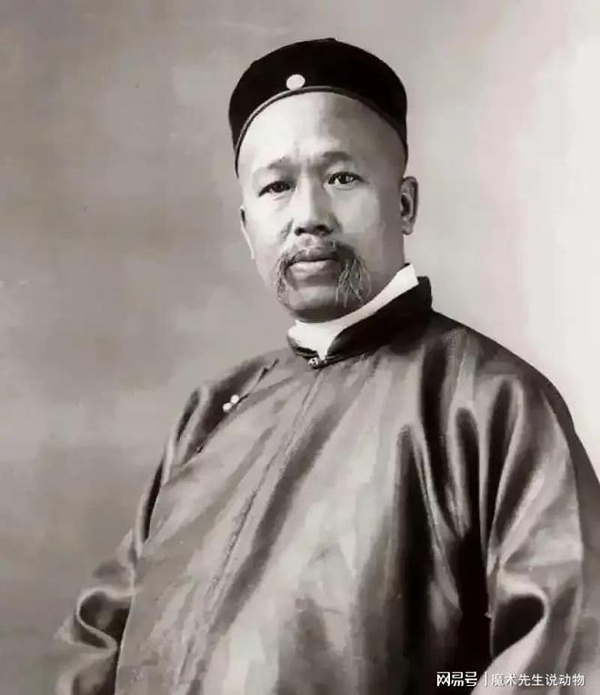 (圖11)