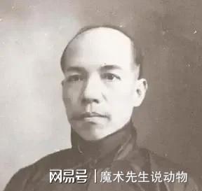 (圖12)