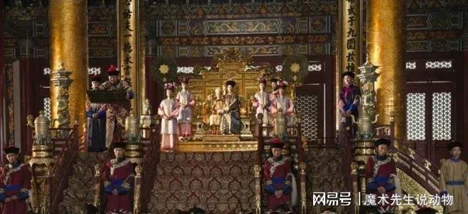 (圖14)