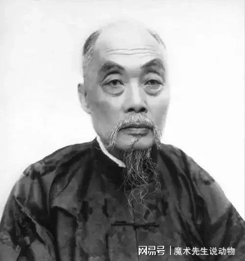 (圖13)