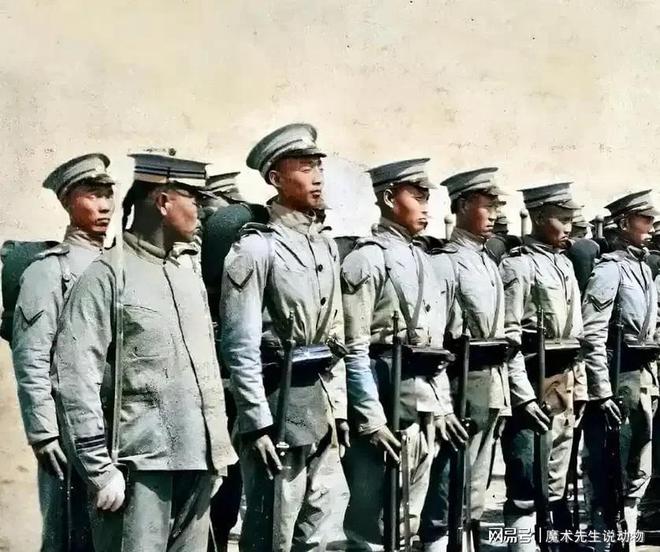 (圖18)