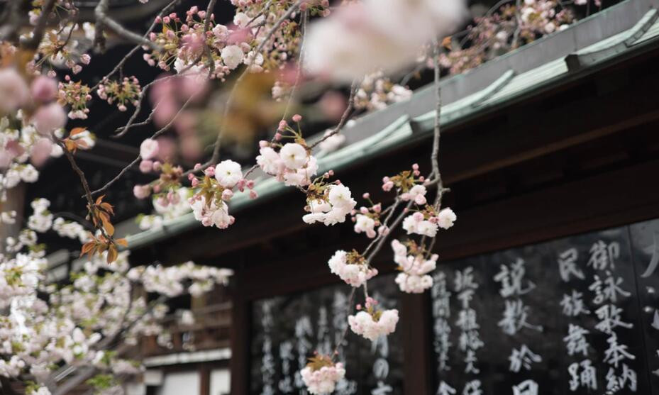 (圖1)