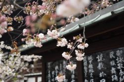 日本出臺新規(guī)：限制加密貨幣保證金交易杠桿率