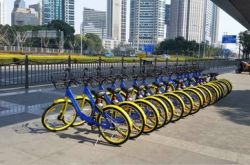 共享單車的印度崛起：東方不亮西方亮？