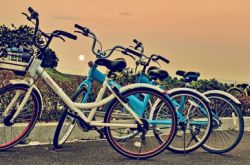 共享單車，或許是中國創(chuàng)業(yè)史上最瘋狂的試錯