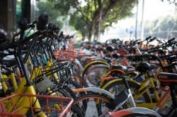 “公地的悲劇”陷阱與共享單車(chē)的“末日黃昏”